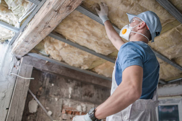 Best Insulation Installation Services in Wake Forest, NC
