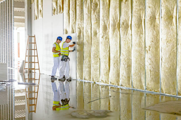 Best Types of Insulation in Wake Forest, NC
